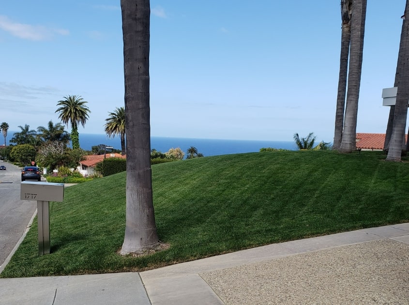 front-yard-landscapers-hawthorne-ca