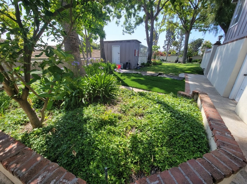 front-yard-landscapers-lomita-ca