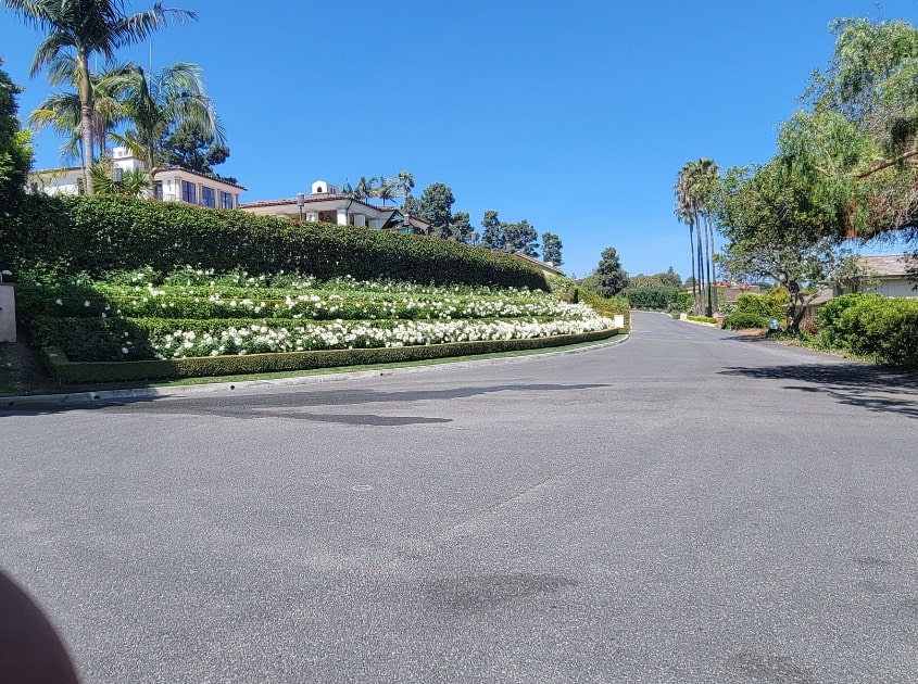 front-yard-landscaping-inglewood-ca