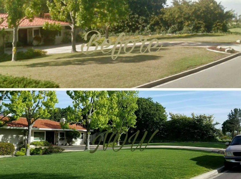 front-yard-landscaping-south-bay-ca