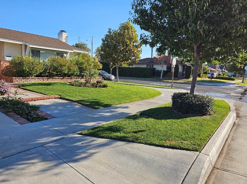 garden-design-lomita-ca