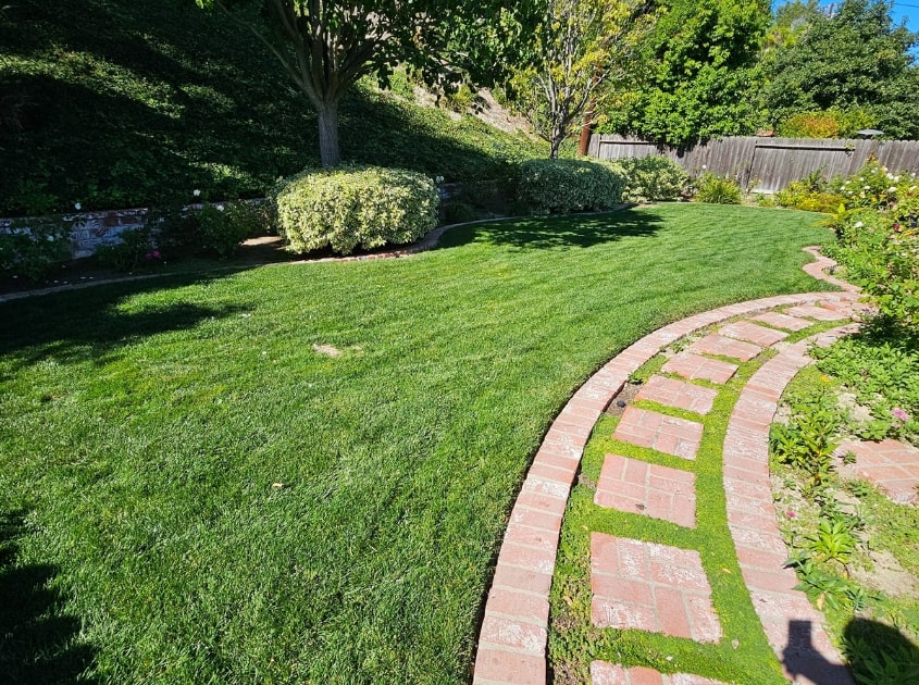 garden-landscaping-carson-ca