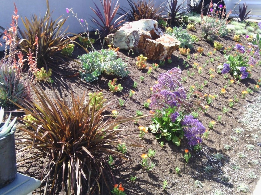 landscape-architect-near-me-redondo-beach-ca