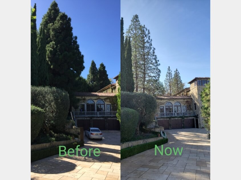 landscaping-designers-near-me-beverly-hills-ca