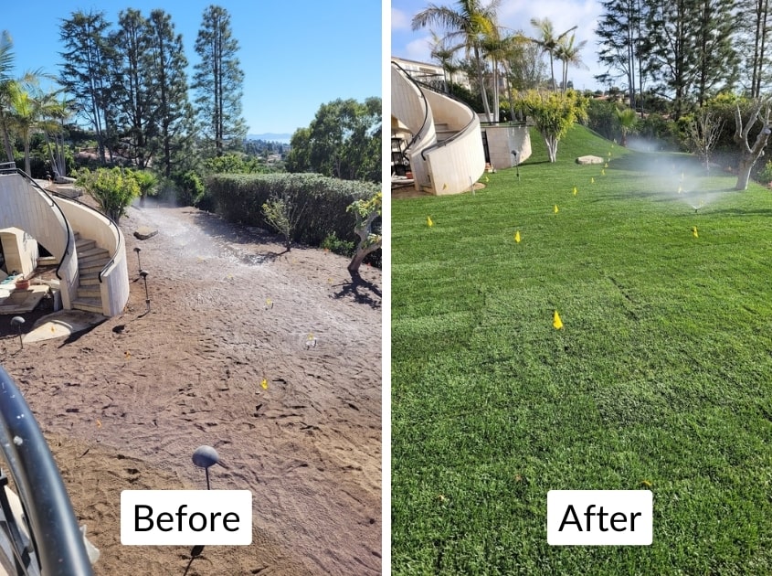 sod-installation-services-south-bay-ca